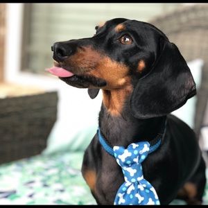 Meet your Posher, Julianna